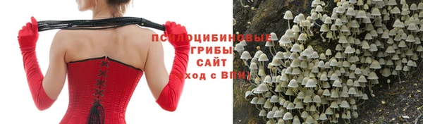 ECSTASY Михайловск
