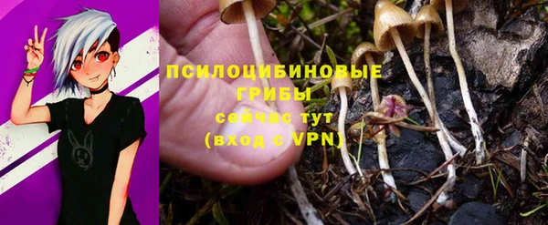 первитин Михайлов